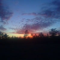 sunset over pasture